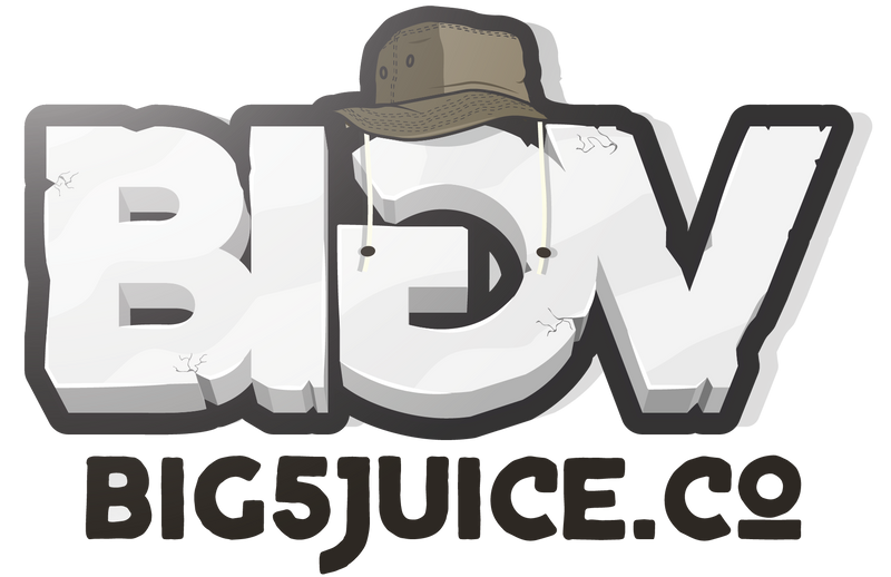 Big 5 Juice 100ml - Creamy Series