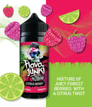 Flava Junki 100ml