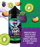 Flava Junki 100ml