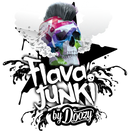 Flava Junki 100ml